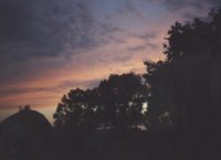 Image1.jpg