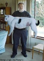 021.jpg