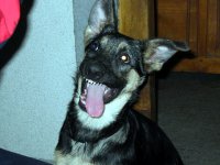 100-0089_img.jpg