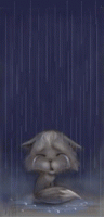 19-12-05_119209.gif
