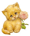 розочка и котик.gif