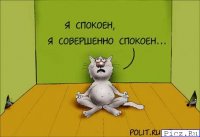 3167.jpg