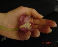 Resize of DSC00361.JPG