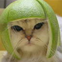 green.jpg