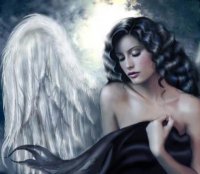 angel31[1].jpg