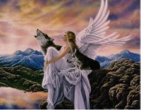 angel43[1].jpg