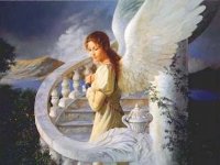 angel104[2].jpg