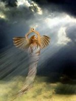 angel107[1].jpg