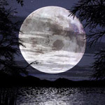 avatar415_31.jpg