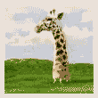 Жирафик.gif