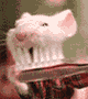 200493425743b93af379ad1.gif