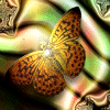 fly10.gif
