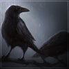 crows.jpg