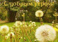 utro18[1].jpg