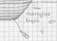 7720.jpg