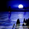 moon.jpg