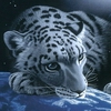 don-earth.jpg