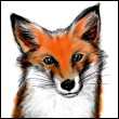 fox008.jpg
