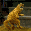 2281973[1].gif
