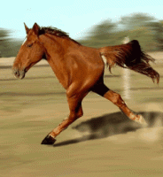 post-132-1129802626[1].gif