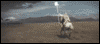 gif523[1].gif