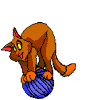 КОТ НА МЯЧИКЕ[1].gif