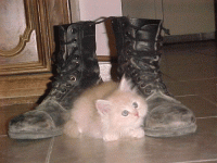 110448.gif