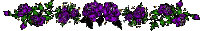 lines24.gif