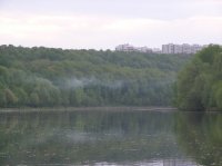 river in city.jpg