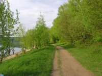 Road near river.JPG