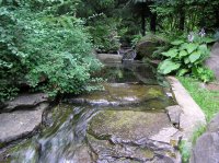 stony stream 1 .jpg
