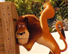 eea94646b1b3aaf2f0e0a5375538d13d.gif