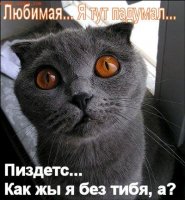 post-25-1121923037.jpg