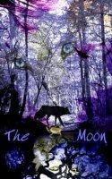 moon_folieyolen.jpg