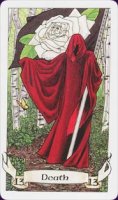 robin-wood-04259.jpg