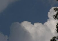 clouds b&w.JPG