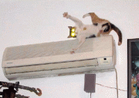 114211.gif