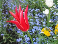 IMG_0296_1_1_1.JPG
