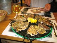 IMG_0281_1_1_1.JPG