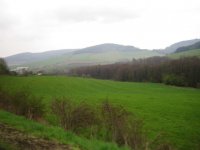 IMG_0380_1_1.JPG