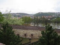 IMG_0433_1_1.JPG