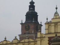 IMG_0508_1_1.JPG