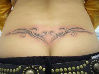 tatu.jpg