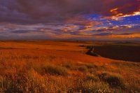 brilliantovui_doc-1147339489_i_6835.jpg