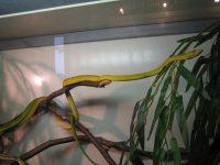 IMG_0718_1_1.JPG