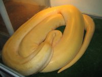 IMG_0719_1_1.JPG