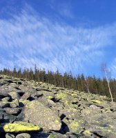 img_0439.jpg