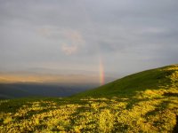 07.jpg