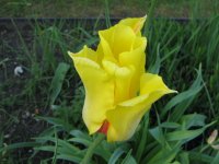 IMG_0288_1_3_1.JPG