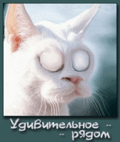 photo_show.gif